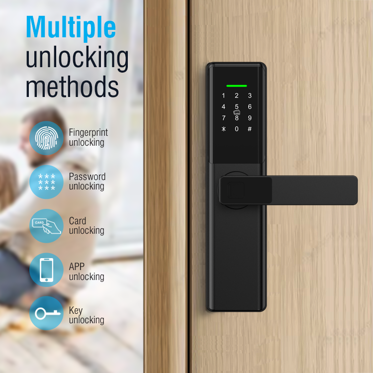 Smart Door Lock Wifi - Inteligentny zamek do drzwi Te'an, elektryczny